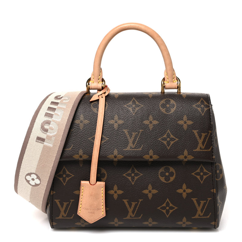 Louis Vuitton Monogram Mini Cluny