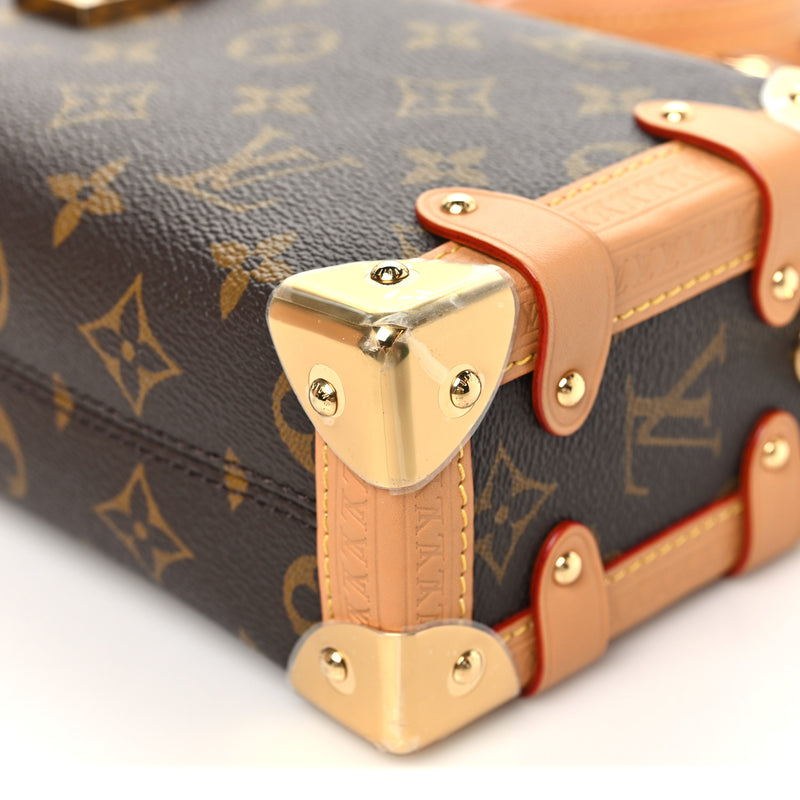 Louis Vuitton Monogram Side Trunk PM