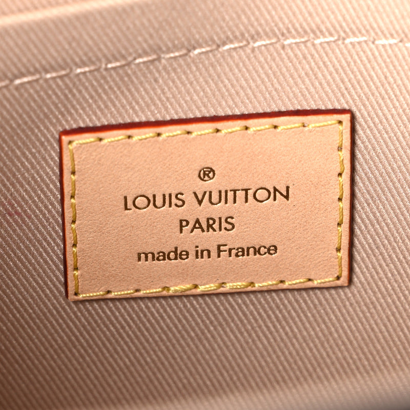 Louis Vuitton Monogram Mini Cluny