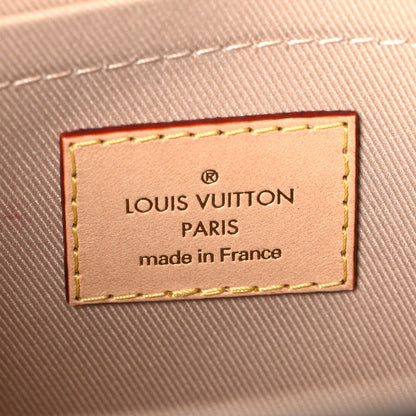 Louis Vuitton Monogram Mini Cluny