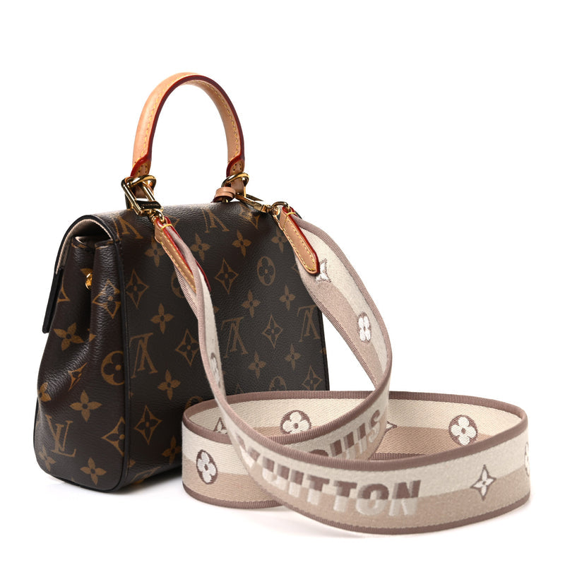 Louis Vuitton Monogram Mini Cluny