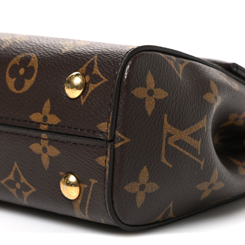 Louis Vuitton Monogram Mini Cluny