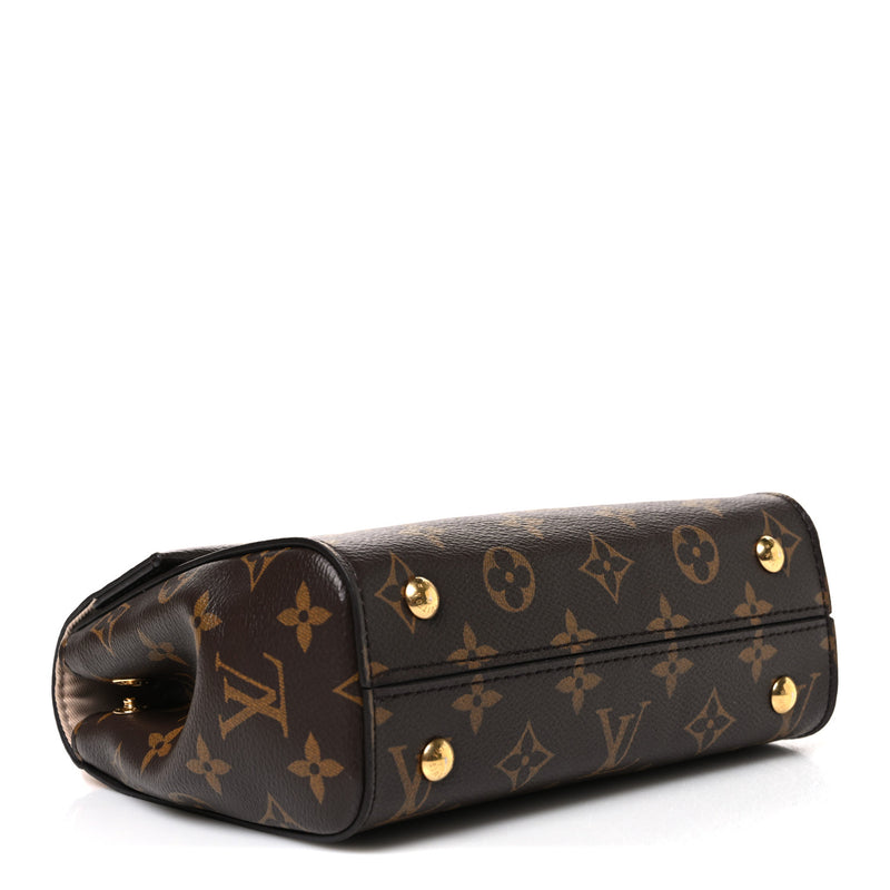 Louis Vuitton Monogram Mini Cluny